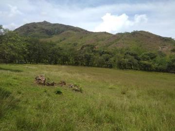 Venta de Finca en Coclé, Natá El Cortezo, 103 hectáreas