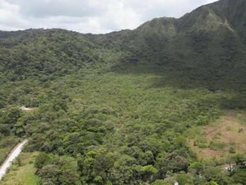Venta de Finca en El Valle de Antón, La Mesa, 40 hectáreas