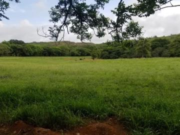 Venta de Finca en El Cortezo de Natá, Coclé, 60 hectáreas