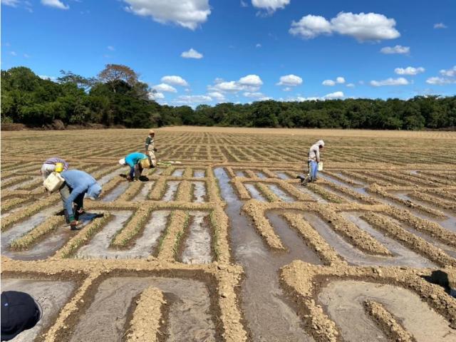 Venta de Finca en el Edo. Guárico