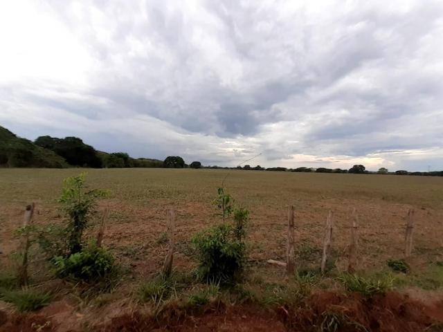 Venta de Finca en el Pao Estado Cojedes
