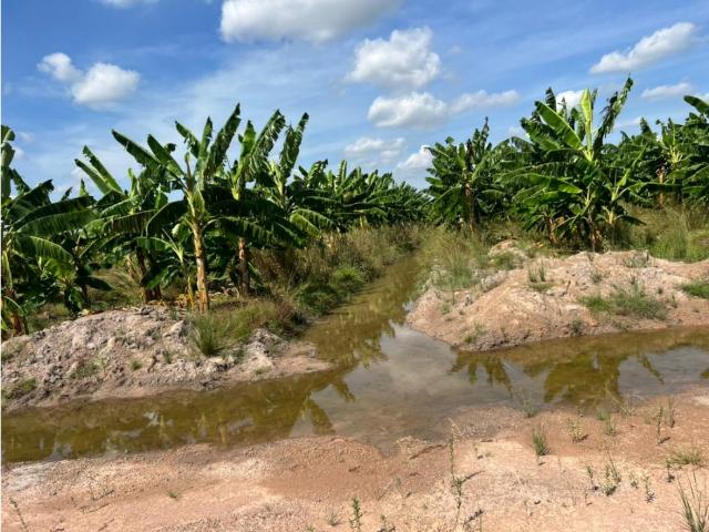 Venta de Hato en Guárico