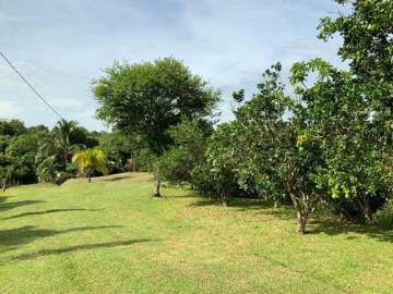 VENTA DE FINCA EN HERRERA, SECTOR OCU A ORILLA DE CARRETERA