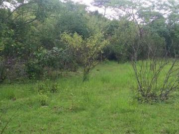 Venta de Finca en La Gallinaza, Calobre 76 Hectáreas