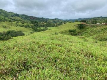 Venta de Finca en Las Minas de Ocú, Herrera, 98 hectáreas