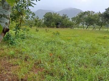 Venta de Finca en Ola, Coclé, 40 Hectáreas