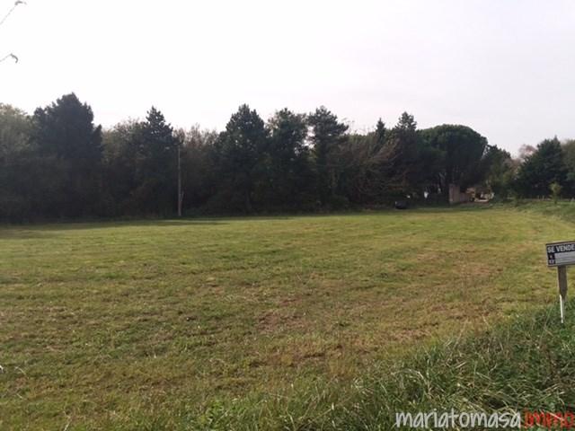 Venta de Finca en Santillana del Mar: 2.574 m² en Ubicación Privilegiada