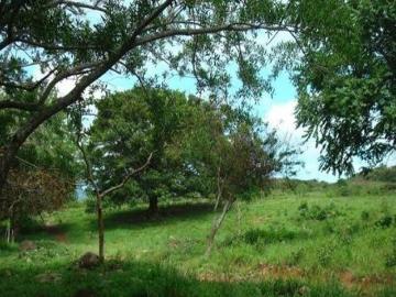 Venta de Finca en Sorá, 42 Hectáreas