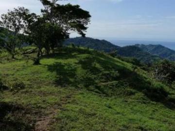 Venta de finca ganadera en Cambutal, Tonosí, Los Santos