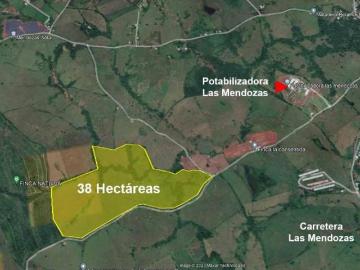 VENTA DE FINCA PARA CULTIVO DE PIÑAS