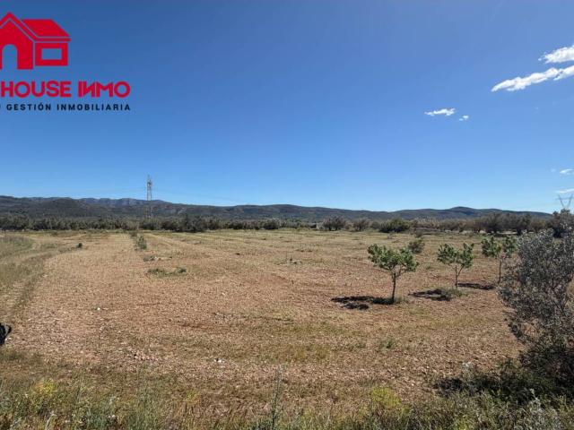 Venta de finca rústica cultivable en Godall