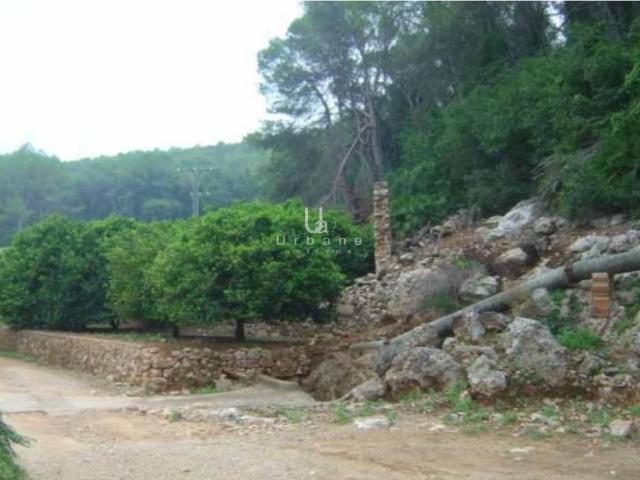 Venta de finca rústica en Alzira