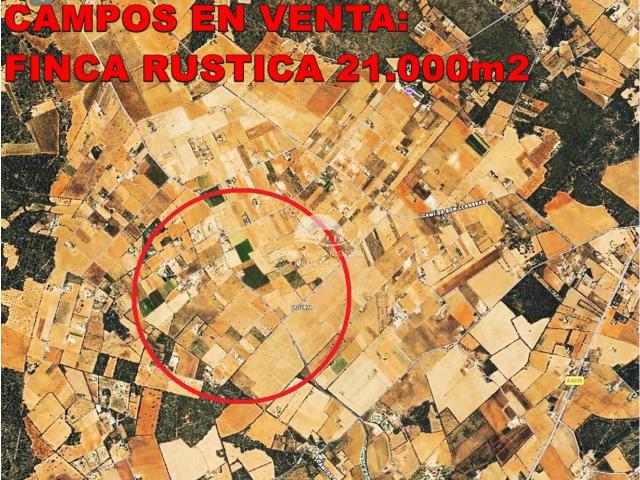 Venta de finca rústica en Campos