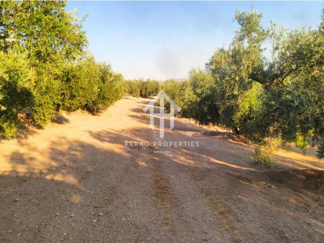 Venta de finca rústica en Loja