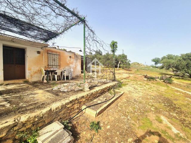 Venta de finca rústica en Loja