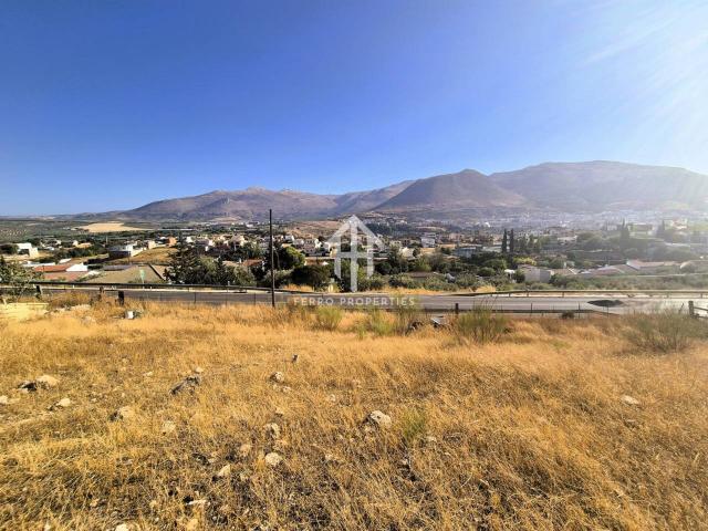 Venta de finca rústica en Loja