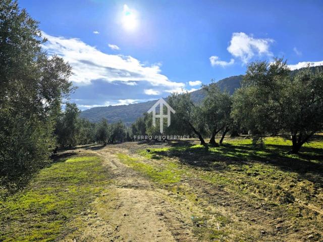 Venta de finca rústica en Loja