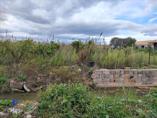 Venta de Finca Rústica en Partida. Partida MULADAR, Polígono 40, Parcela PARTE 106. Nº 40 Sueca Valencia/València