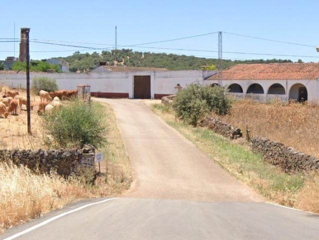 Venta de Finca Rústica en Sector Polígono 49 Nº 1 Olivenza Badajoz