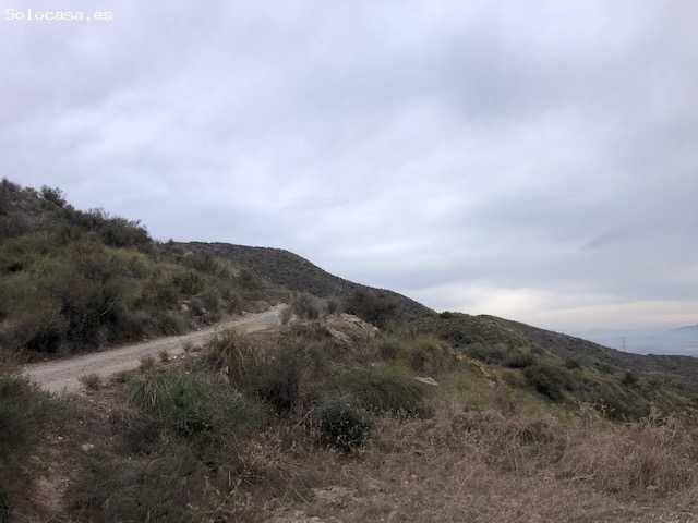 VENTA DE FINCAS RÚSTICAS EN POZO DE LA HIGUERA LORCA, MURCIA