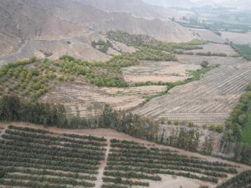 VENTA DE FUNDO AGRICOLA EN SUPE BARRANCA DE 185,000 M2