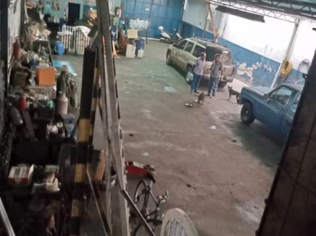 Venta de Galpón Multifuncional en Bellas Artes