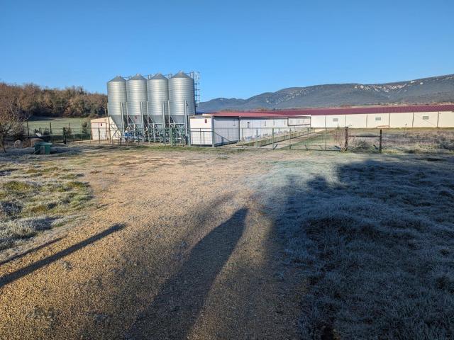 Venta de granja de conejo