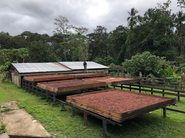 VENTA DE HACIENDA DE CACAO EN RIO CARIBE VE02 177RC MT