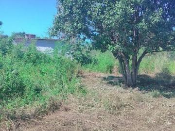 VENTA DE HECTÁREA EN CHIQUILÁ – OPORTUNIDAD DE INVERSIÓN
