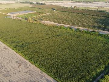 Venta de Hectáreas con buena Ubicación