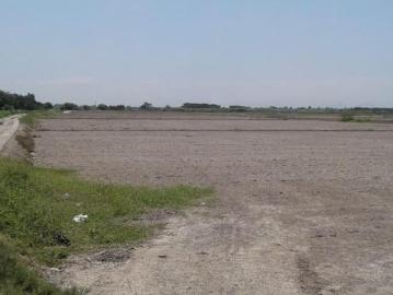 Venta de hectáreas de terreno en Chiclayo