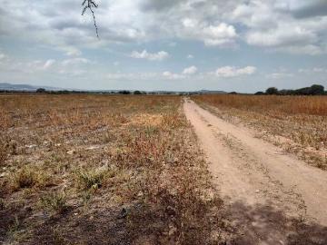 Venta de hectareas en coyotillos