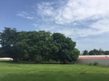 VENTA DE HECTÁREAS EN PLAYA DE VACAS | ARLETTE FLORES INMOBILIARIA