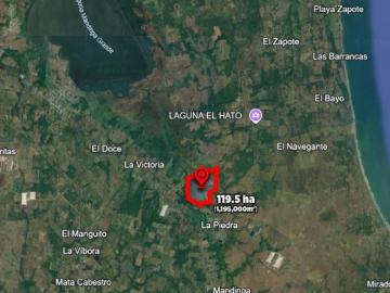 VENTA DE HECTÁREAS JUNTO AL RIO EN LA PIEDRA | ARLETTE FLORES INMOBILIARIA