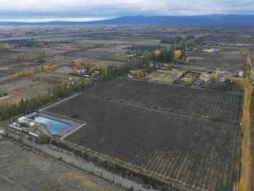 Venta de hermosa finca en cuadro venegas, san rafael – mendoza