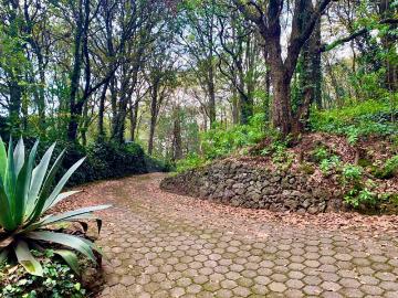 Venta de incre?ble terreno en el bosque a 20 min de la CDMX