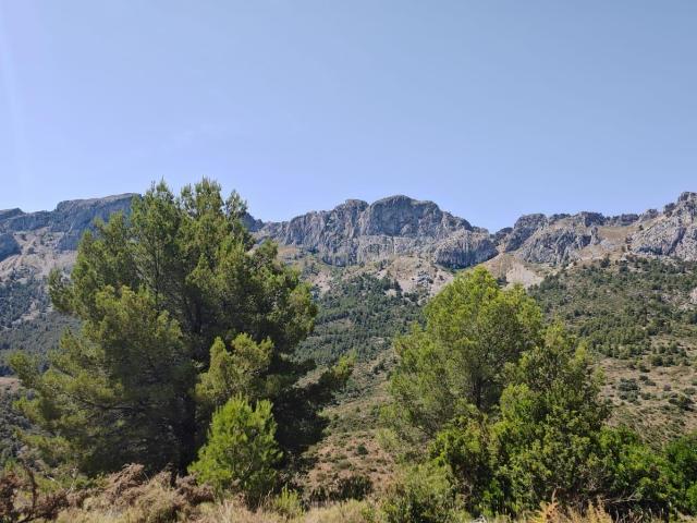 VENTA DE LOCAL COMERCIAL ALTEA