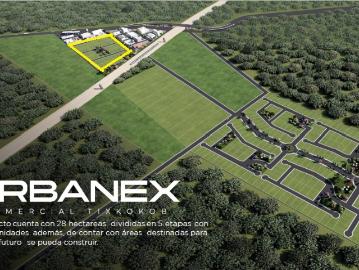 VENTA DE LOTE COMERCIAL EN TIXKOKOB