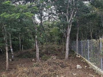 Venta de Lote de terreno, Chichimilá, Yucatan, Yucatan