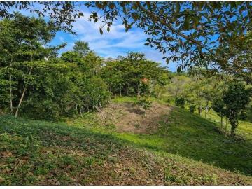 Venta de lote en cayo agua, bocas del toro
