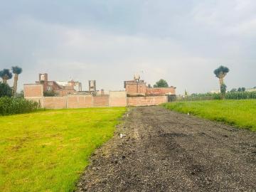 Venta de Lotes de Terreno Carretera Metepec Zacango