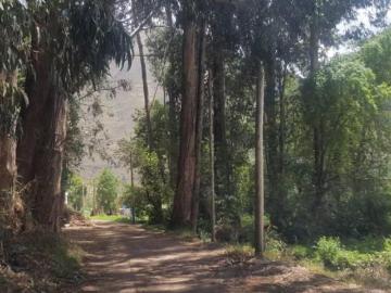 VENTA DE LOTES EN URUBAMBA 1,000 Mil M2 RODEADO DE ARBOLES Y NATURALEZA