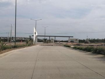 Venta de Macro Lotes FRACC. INTERLOMAS, Loen Zona Norte