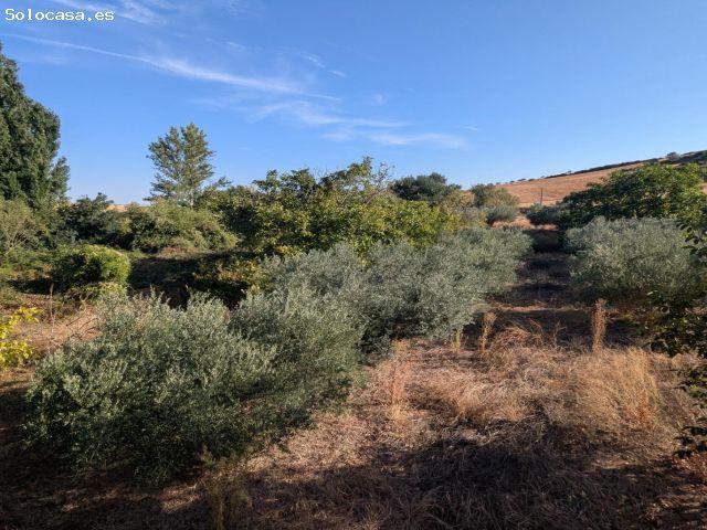 Venta de nave en Mues