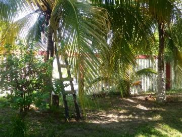 VENTA DE PALAPA CON TERRENO EN CABEZA DE TORO TONALA CHIAPAS