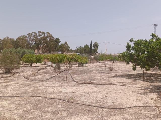 VENTA DE PARCELA EN MOLINA DE SEGURA