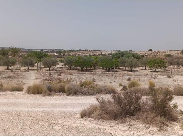 VENTA DE PARCELA EN MOLINA DE SEGURA