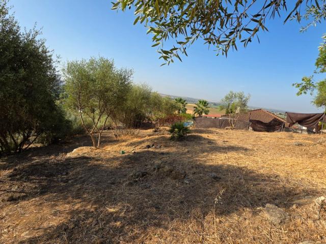 Venta de Parcela en Almodóvar del Río – 1.276.25 m2
