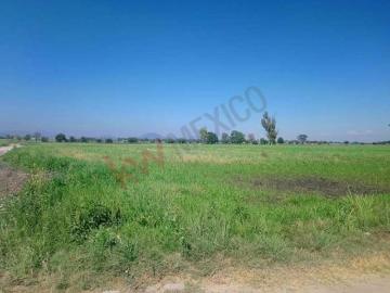 Venta de Parcela en Calamanda