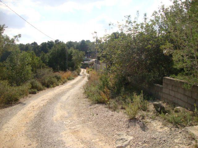 VENTA DE PARCELA EN CATADAU